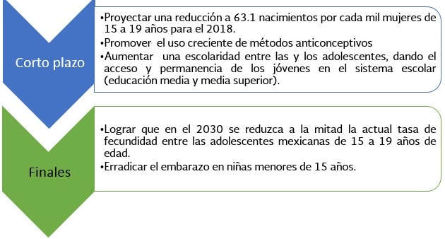 Corto Plazo: 1.-Proyectar una reduccin a 63.1 nacimientos por cada mil mujeres de 15 a 19  aos para el 2018. 2.-Promover el uso creciente de mtodos anticonceptivos. 3.- Aumentar una escolaridad de los jvenes en el sistema escolar (educacin media y meida superiro)., Finales: 1.- Lograr que en el 2030 se reduzca a la mitad la actual tasa de fecundidad entre las adolescentes mexicanas de 15 a 19 aos de edad. 2.-Erradicar el embarazo en nias menores de 15 aos.