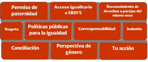 Permiso de paternidad., Acceso igualitaria a EBDI'S., Reconocimiento de derechos a parejas del mismo sexo., Respeto., Políticas públicas para la igualdad., Corresponsabilidad., Inclusión., Conciliación., Perspectiva de género., Tu acción.